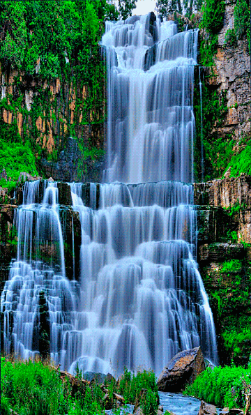 360_595竖版 竖屏gif 动态图 动图