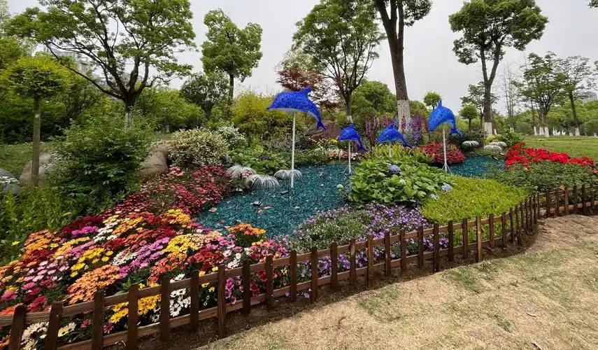 近1200盆精品花卉扮靓合肥经开区南艳湖公园新添花境吸睛