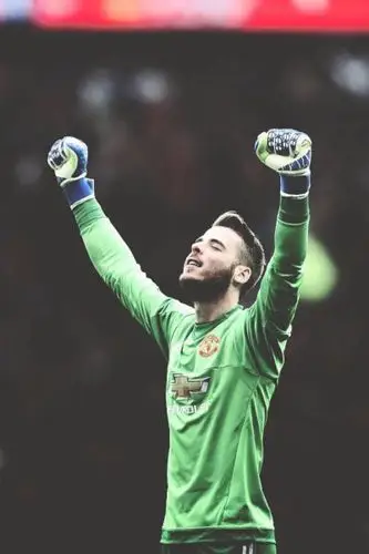 德赫亚 - 堆糖,美图壁纸兴趣社区