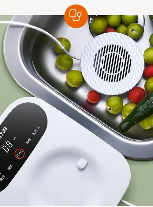 九阳洗菜机果蔬解毒机净食机去农残食材清洗机家用蔬菜洗菜机自动台壁