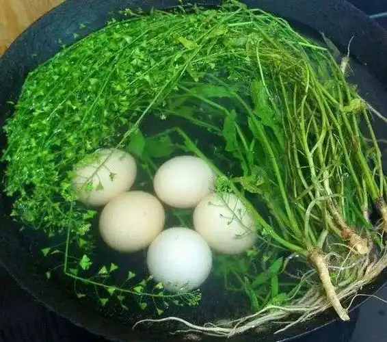 三月三 地菜煮鸡蛋