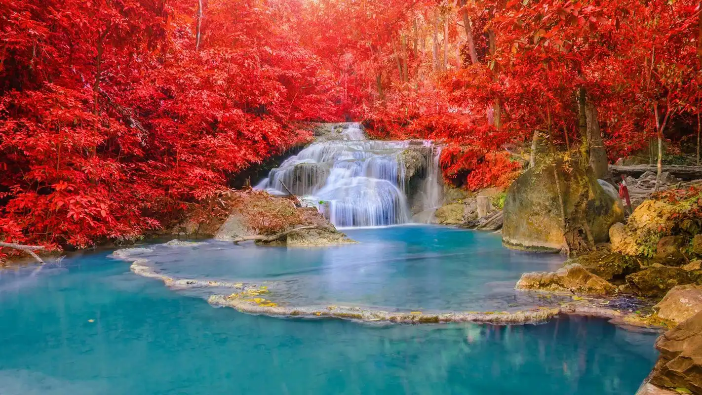 亮丽清新的自然美景图片高清宽屏桌面壁纸