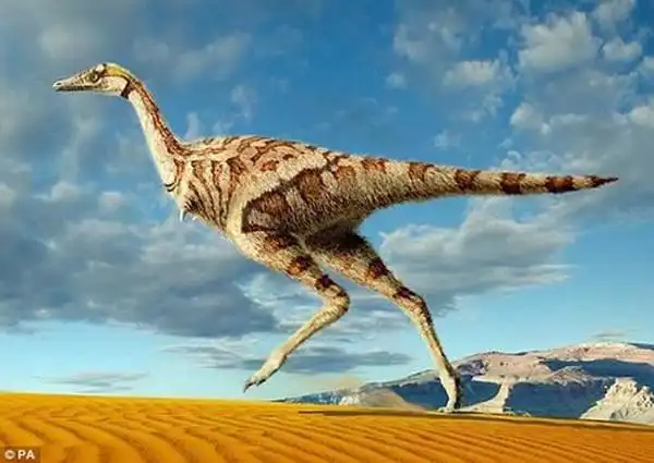 中国内蒙古临河地区发现恐龙新物种单指临河爪龙