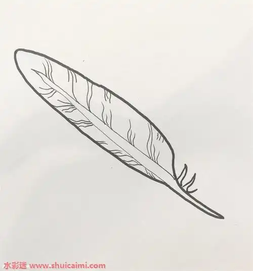 羽毛怎么画羽毛简笔画步骤