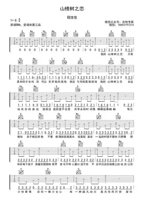程佳佳山楂树之恋吉他谱g调吉他弹唱谱