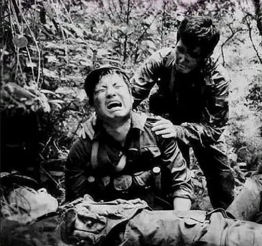 中越战争之同登战役:三打法国炮台