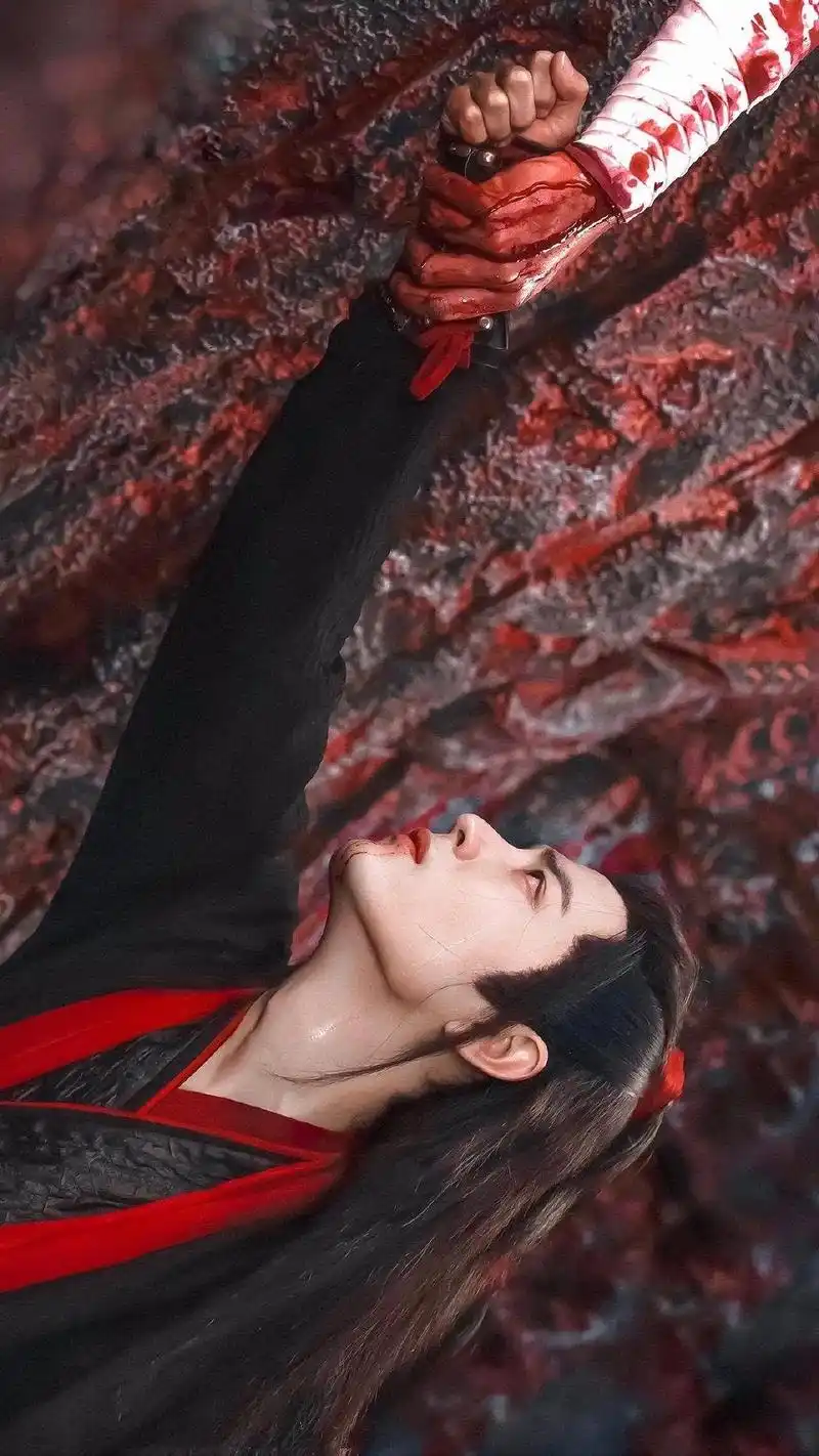 蓝湛我在魏婴我在