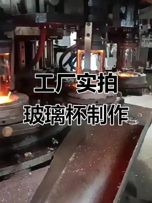 玻璃杯子生产车间全景展示,品质源于源头厂家