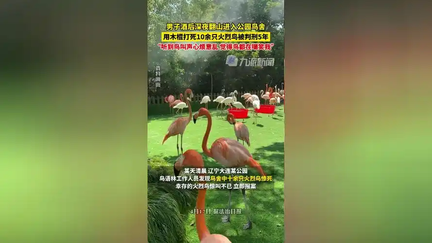 男子酒后打死10余只火烈鸟被判刑5年:听到鸟叫声心烦,