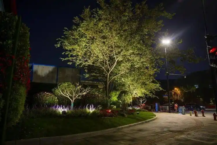 【迎进博】流光溢彩,焕新灯光夜景喜迎进博!