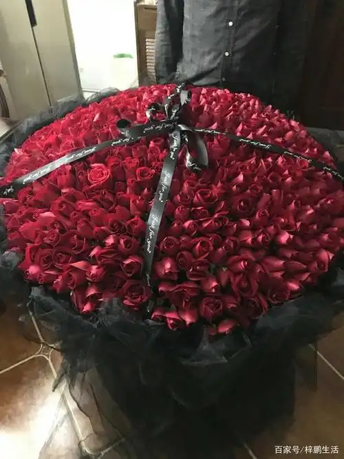 999朵玫瑰
