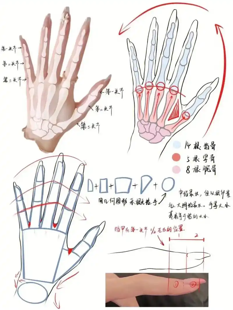 零基础动漫手绘画教程你学废了吗