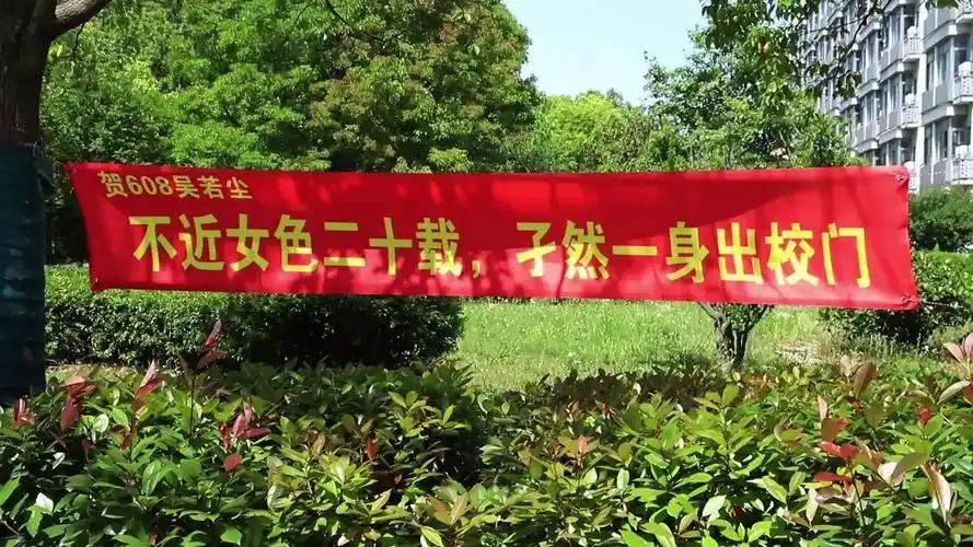 大学五年一直单身,舍友拉横幅庆祝