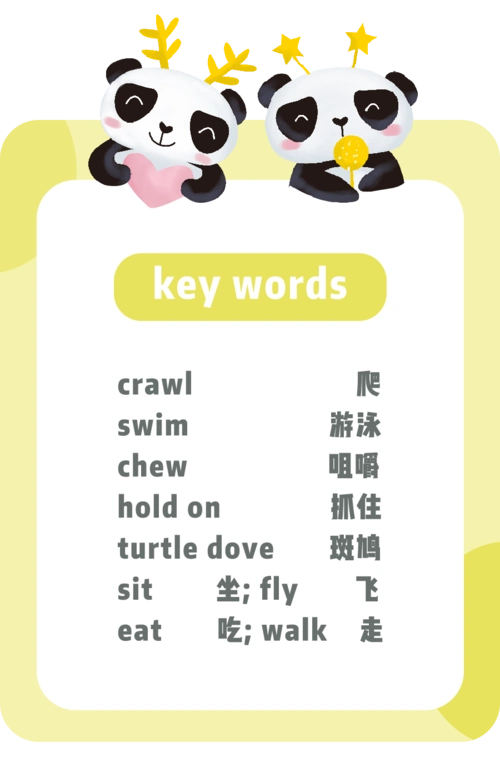 班步绘本故事turtledove