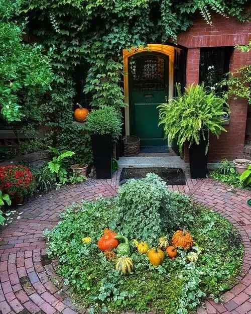 小花园里荫蔽区域的解决方案——耐阴小花坛