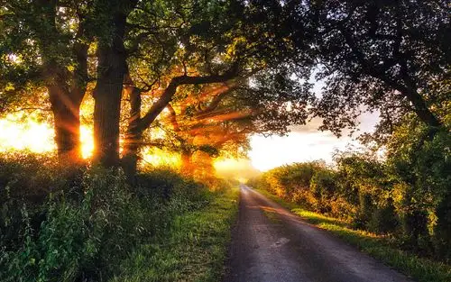 阳光明媚唯美风景图片桌面壁纸