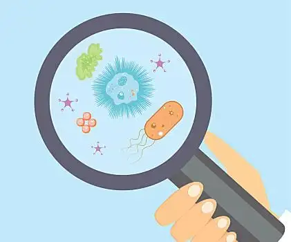 细菌,研究,矢量,微生物学,握着,放大镜,不同