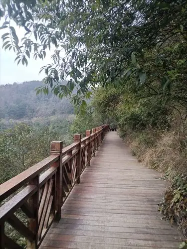 鹿冲关森林公园