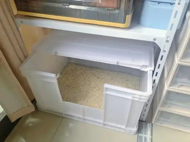 自制超大猫砂盆适合多猫家庭