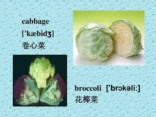 cabbage [kæbid ] 卷心菜 broccoli [br k li:  花椰菜
