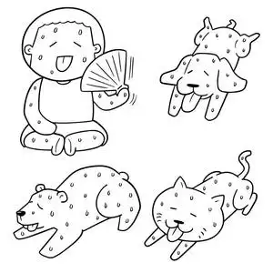 向量集的炎热的天气照片