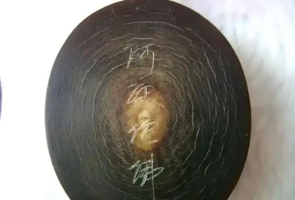 可能是犀角的鱼籽纹)(特征之一)鱼子纹鱼子纹鱼子纹非洲犀牛有二只角