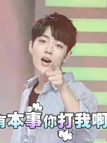 肖战表情包,有趣的灵魂