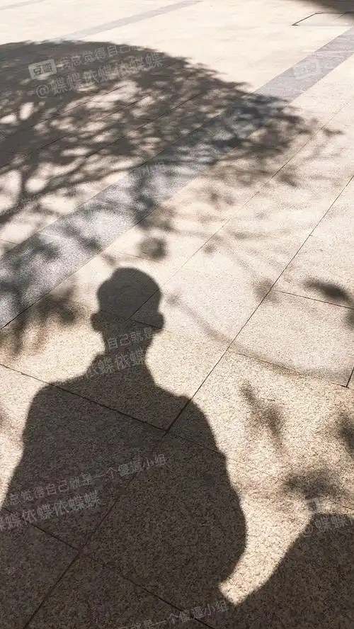 太阳光照射下人类的影子