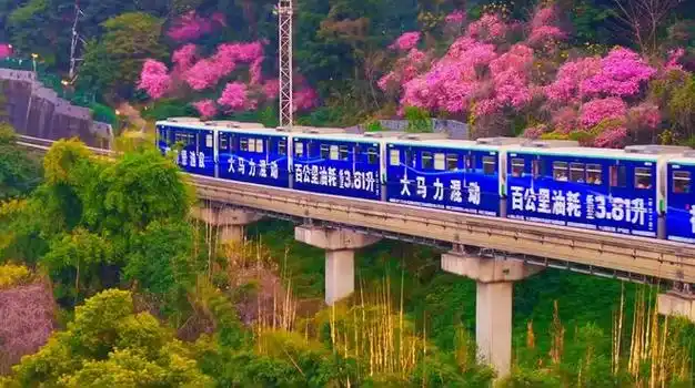 错过等一年重庆开往春天的列车上线啦