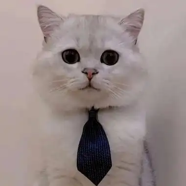 头像霸气动漫女头像超拽侧脸李沁的照片头像苹果手机怎么用卡通头像