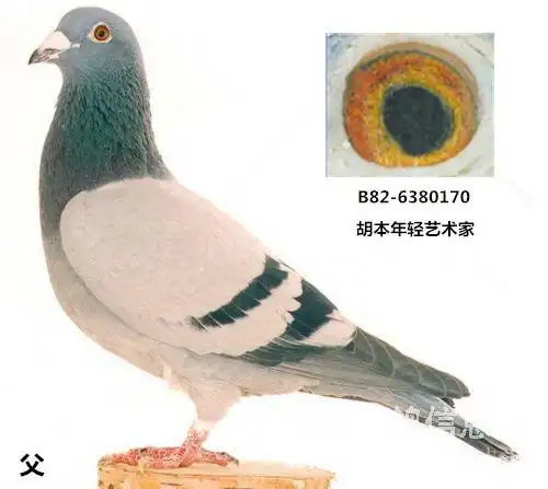 胡本年轻艺术家直子