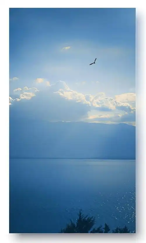 海阔天空,任鸟飞