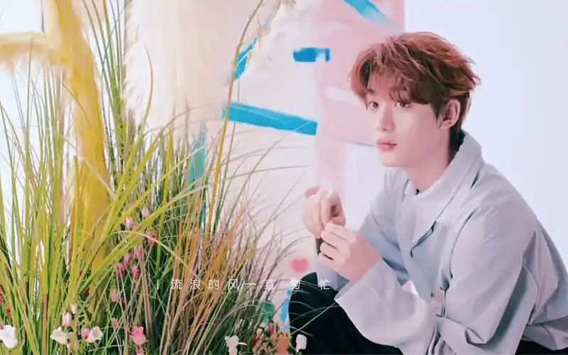 【丁程鑫】听说爱人如养花