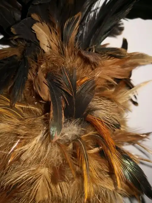 鸡毛掸子的那些事