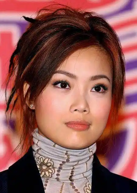 说实话,年轻时的容祖儿确实称不上是典型的美女,脸太大并且下颌很宽