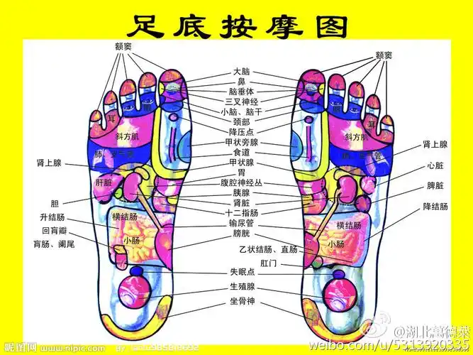 足部有个生殖保健圈!】 - 文章