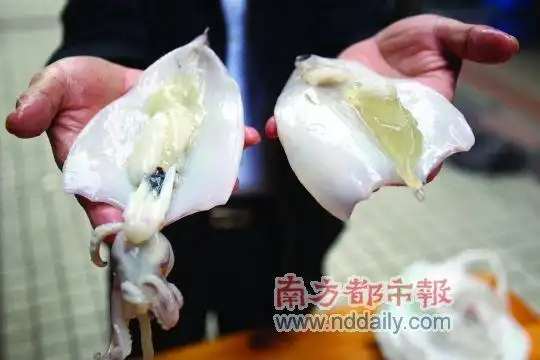 市民所购鱿鱼含胶状物 专家称是鱿鱼蛋可食用