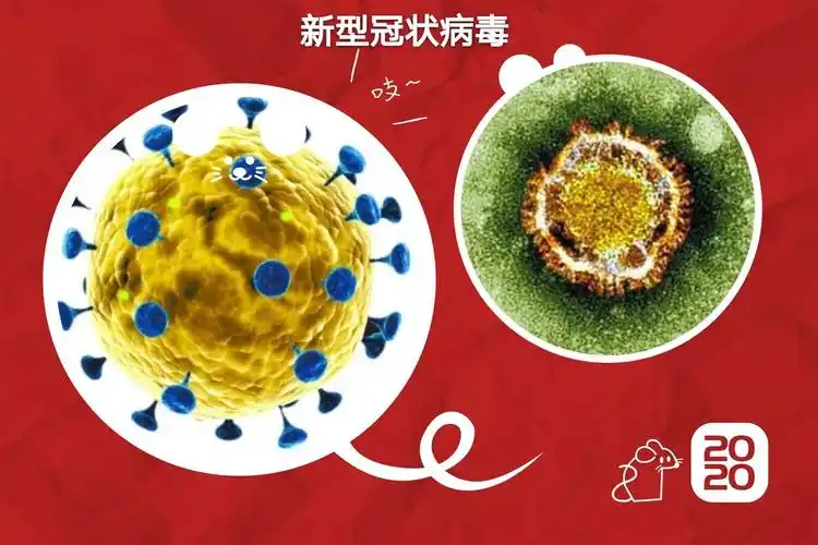 这就是新型冠状病毒在显微镜下的样子