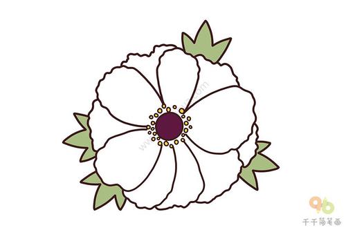 牡丹简笔画画法