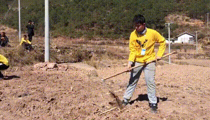 420_240gif 动态图 动图