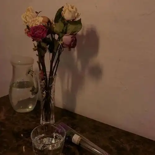 ins风欧美背景图,ins欧美风 背景(朋友圈背景.ins.欧式.高级感.小众)