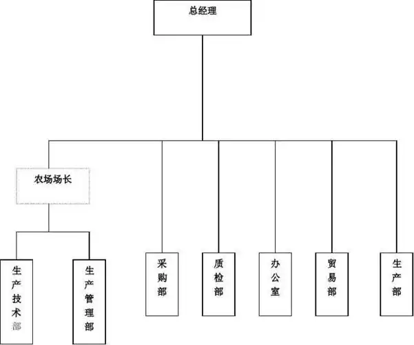 包装厂质量管理体系