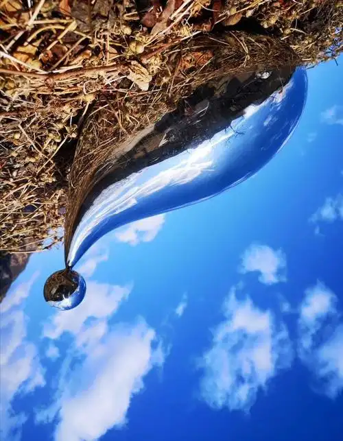 构图独特,特定的角度把握得好.