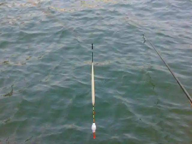 浮漂是你上鱼之根本,浮漂好不好,这五点很重要