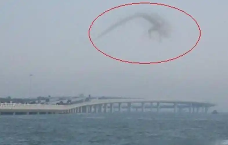 世界上有龙吗,中国真龙现身了