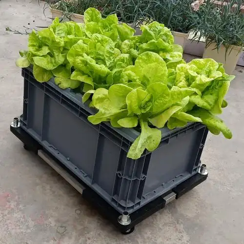 气雾栽培箱阳台无土栽培蔬菜种植机水培设备家用种菜瓜果家庭专用