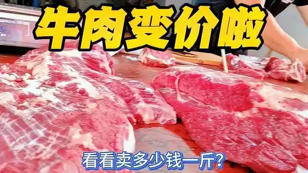 牛肉到底什么价, 5月22日早市上卖多少钱一斤,大吃一惊|畜肉_网易视频