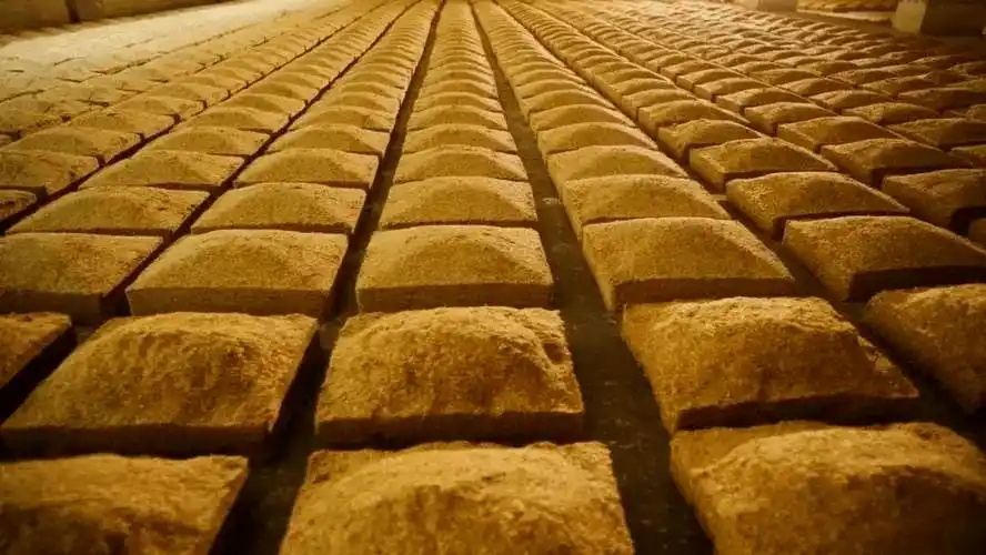 制曲的温度居然会对大曲酒有这么大影响?_酒曲_催化_低温