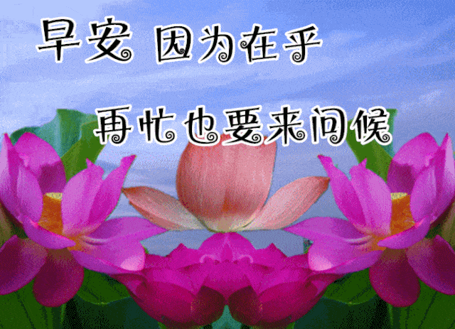 640_463gif 动态图 动图