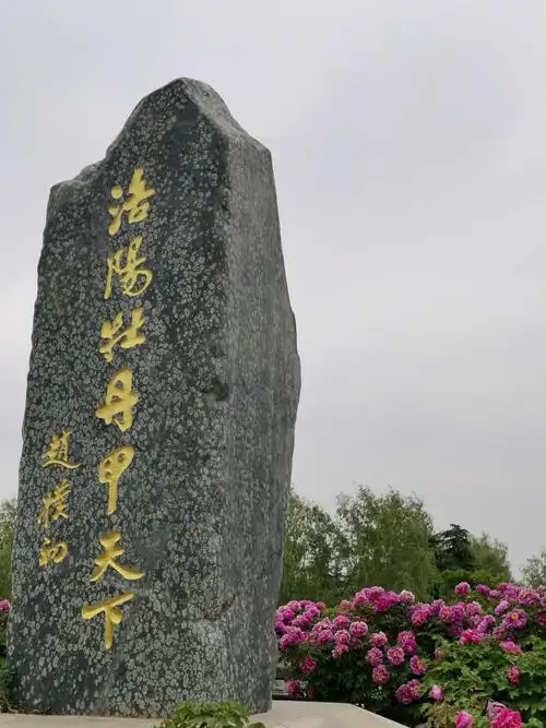 洛阳牡丹甲天下